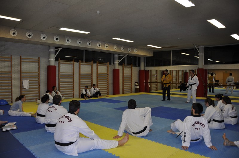SEMINARIO POOMSAE Y FREESTYLE 2015